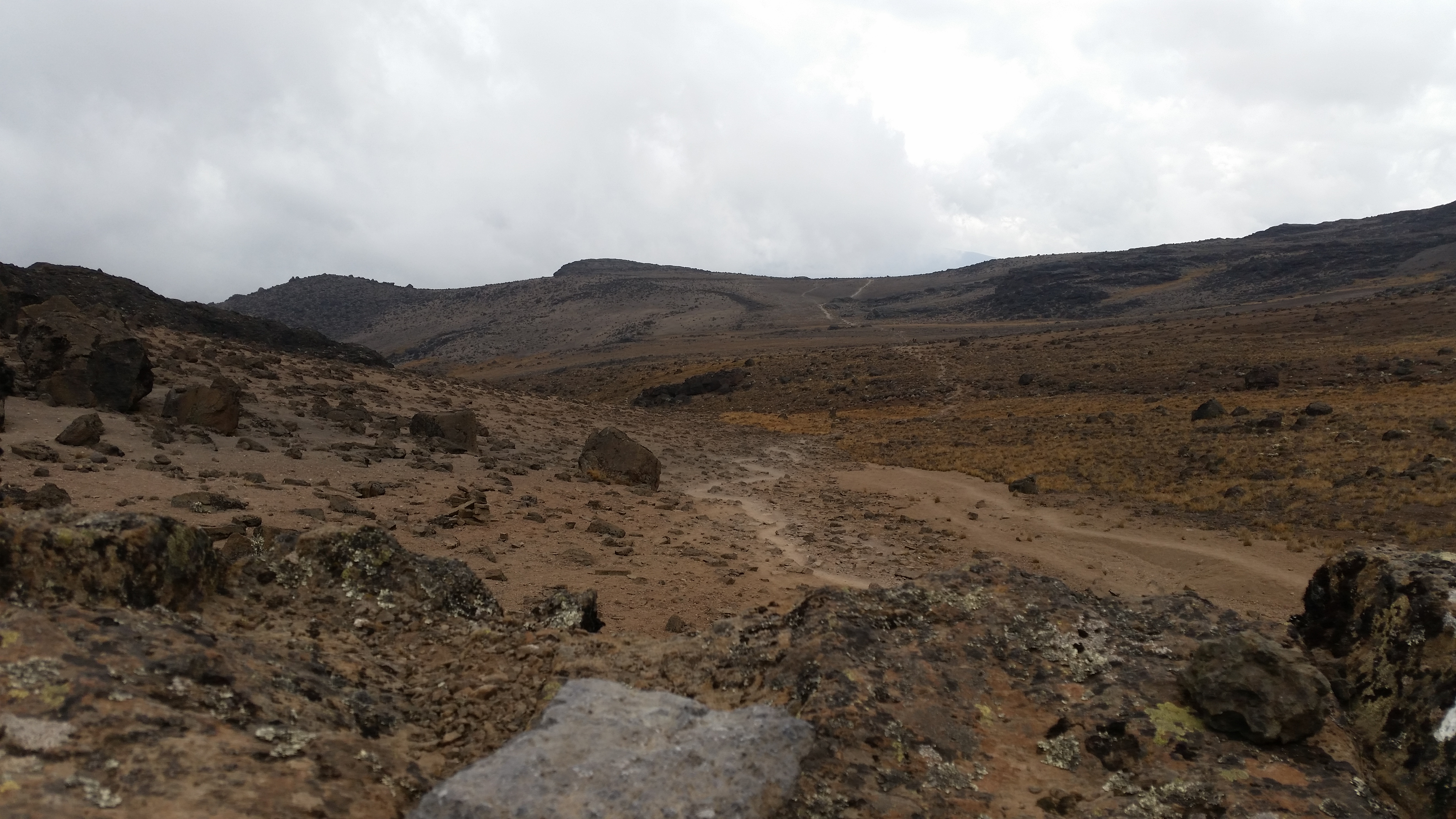 Kilimanjaro alpine desert path to Lava Tower