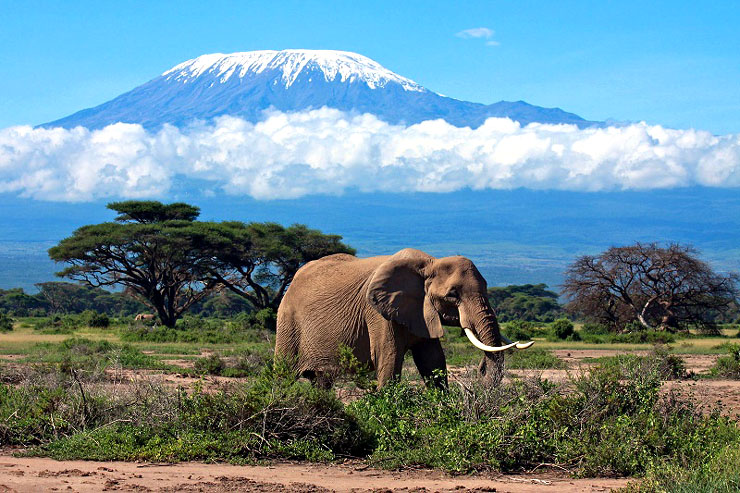 Snow-capped Mt Kilimanjaro (© global-make-money.com)